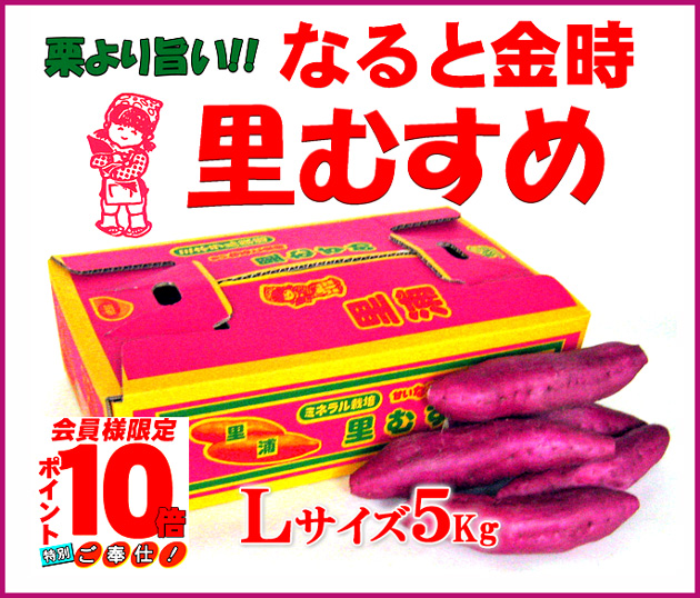 新鮮！なっ徳島】産地直送 鳴門金時 里むすめ５Ｋｇ【ポイント１０倍】－阿波の味 八百秀